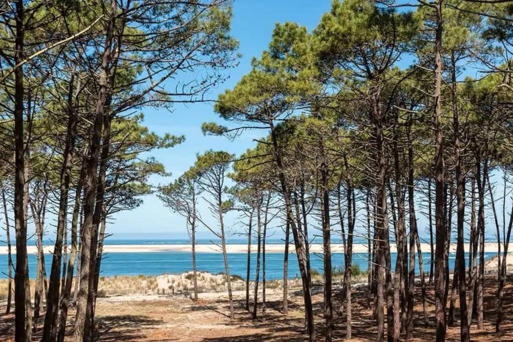 Atlandes - Entre Lac Et Mer 비스카로세 외부 사진
